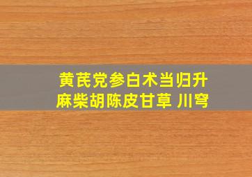 黄芪党参白术当归升麻柴胡陈皮甘草 川穹